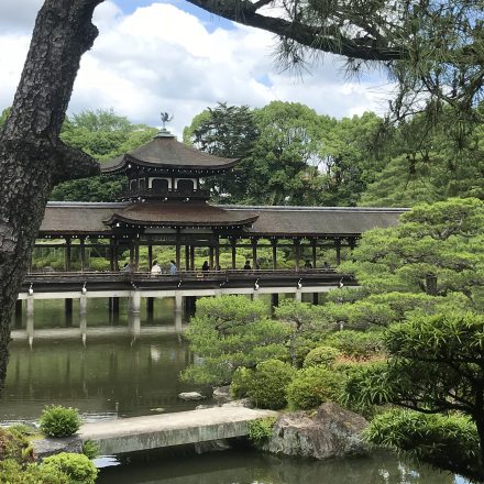 京都平安神宮の菖蒲会のお茶会に参加しました