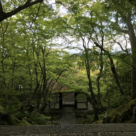 常寂光寺の歴史や素晴らしい紅葉