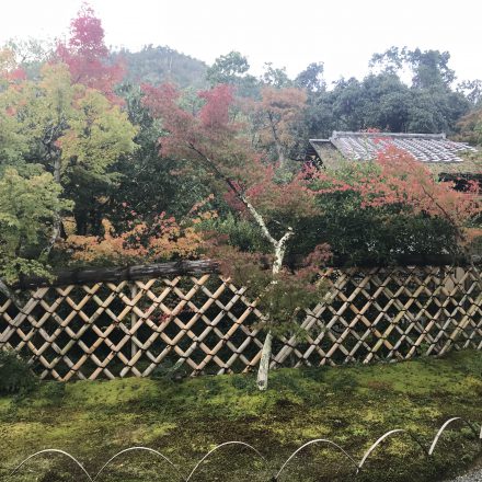 光悦寺の7つの茶室とお茶会光悦会