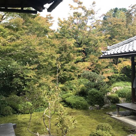 源光庵の春夏秋冬・紅葉と青もみじが素晴らしい