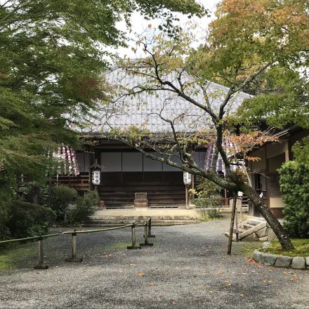 常照寺の素敵なご住職と帯塚・御朱印と拝観料