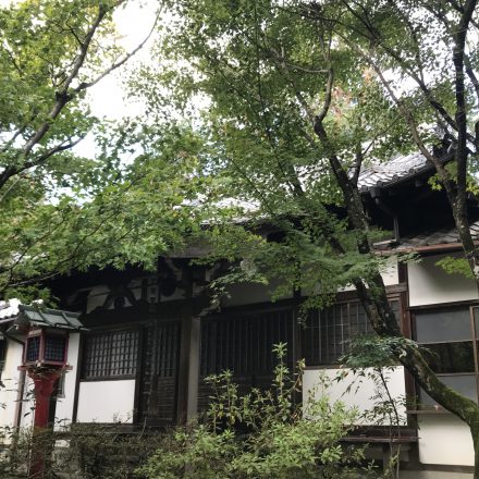 常照寺の春夏秋冬・紅葉と桜が美しい艶やかなお寺