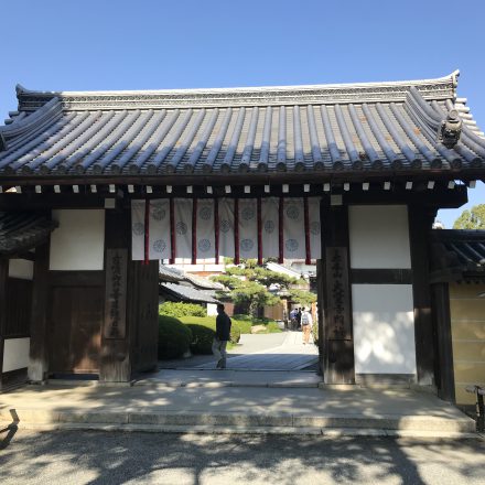 大覚寺の見どころは回廊から眺める紅葉と右近橘・左近梅