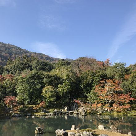 天龍寺の絶景の庭と池の色彩豊かな紅葉と借景の嵐山