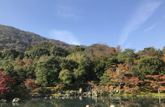 天龍寺の絶景の庭と池の色彩豊かな紅葉と借景の嵐山