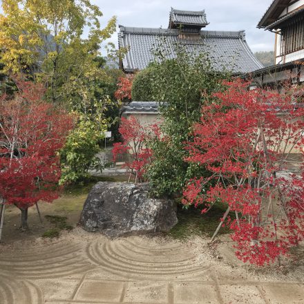 弘源寺本堂柱の刀傷は禁門変の際の長州藩士刀傷