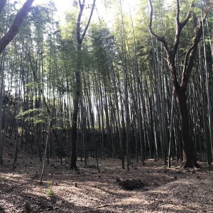 石清水八幡宮のご利益をいただいた源義家とエジソンの逸話