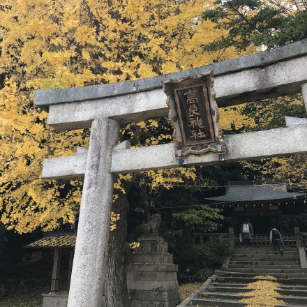 石清水八幡宮と間違い高良神社に参拝した徒然草の仁和寺僧