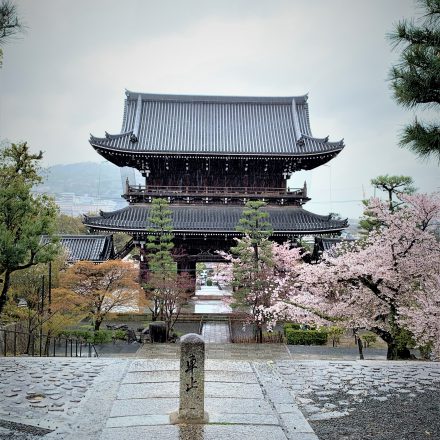 金戒光明寺の見どころは山門と新選組も利用した境内