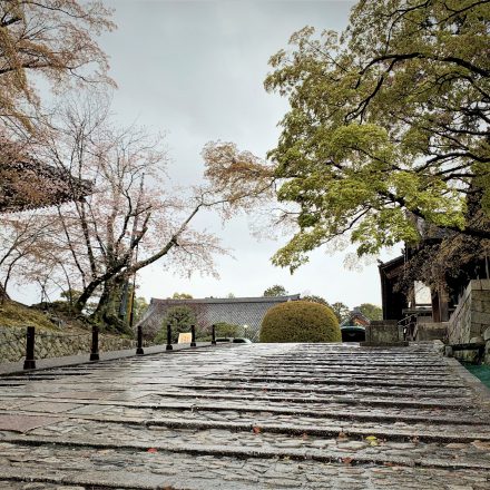 金戒光明寺のアクセスと駐車場を紹介します