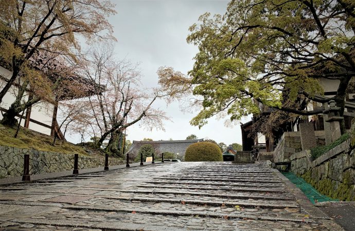 金戒光明寺のアクセスと駐車場を紹介します