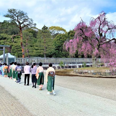 伏見桃山陵にて賣茶竹延流のお献茶